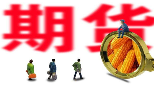 新手投資者怎么買玉米期貨？